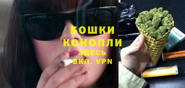 шишки Вязьма