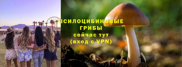 шишки Вязники