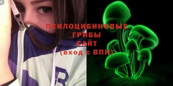 экстази Горняк