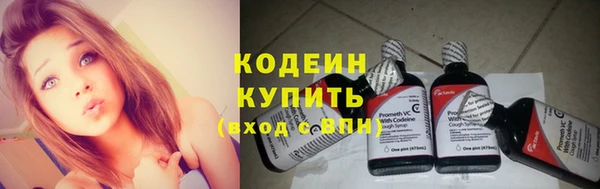 ПСИЛОЦИБИНОВЫЕ ГРИБЫ Горно-Алтайск
