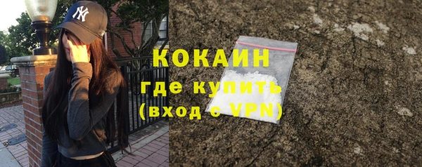 шишки Вязники