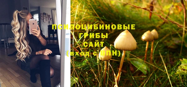 бутират Вяземский