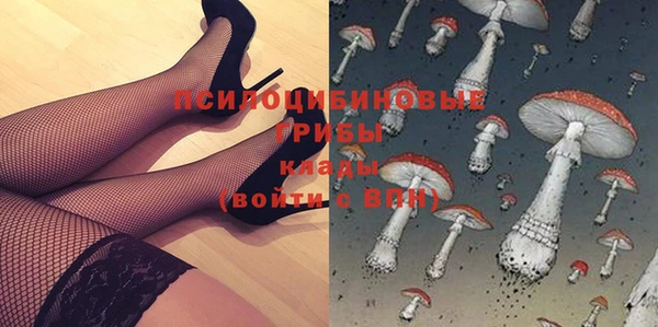 шишки Вязьма