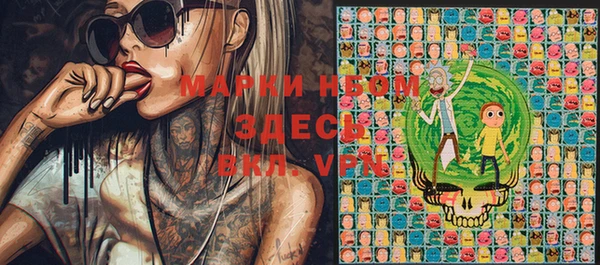 шишки Вязники