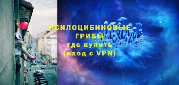 шишки Вязники
