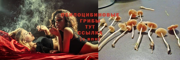 шишки Вязьма