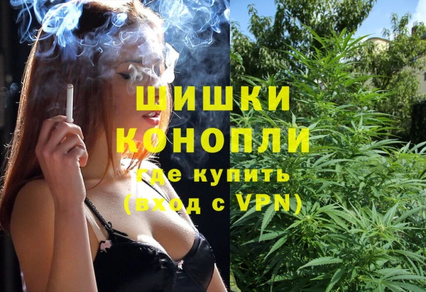 шишки Вязьма