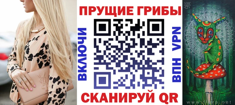 Купить где  Кадников  Галлюциногенные грибы мицелий 